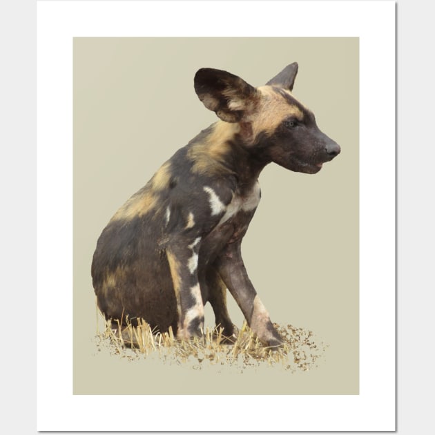 Wilddog in Kenya / Africa Wall Art by T-SHIRTS UND MEHR